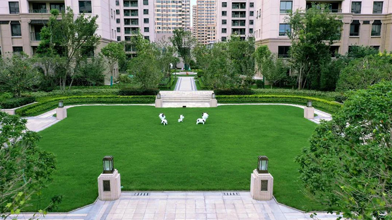 商業(yè)住宅景觀實景展示