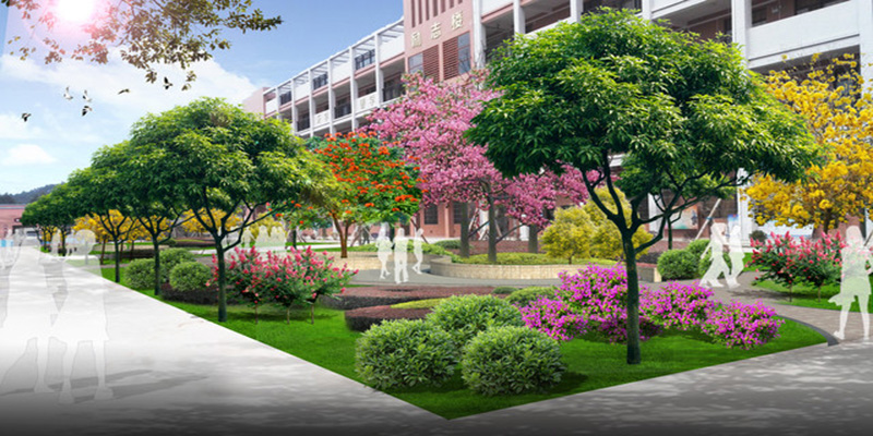大學校園綠化設計